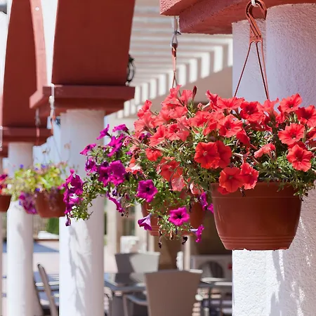 Saint George Palace Hotel Sveti Vlas